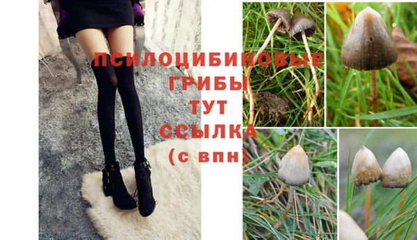 спайс Алексин