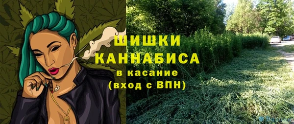 PSILOCYBIN Алзамай