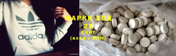 PSILOCYBIN Алзамай