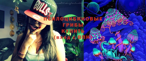спайс Алексин