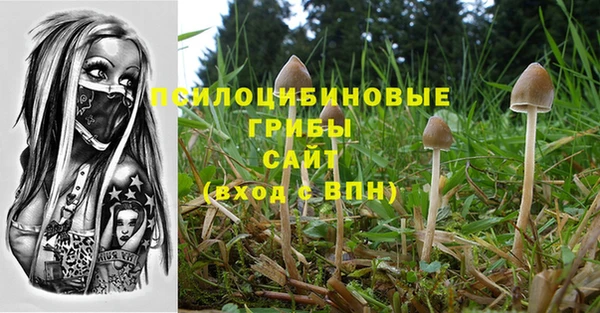 тгк Алексеевка