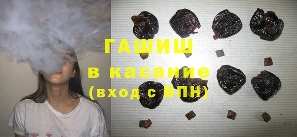 PSILOCYBIN Алзамай