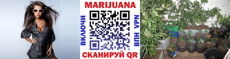 Бошки Шишки AK-47  магазин    ОМГ ОМГ рабочий сайт  Воткинск 